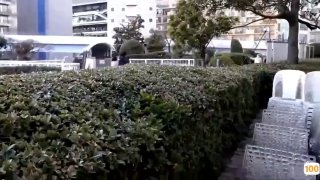 《国产特级大黄一级毛片》720-免费全集在线观看高清-55影院